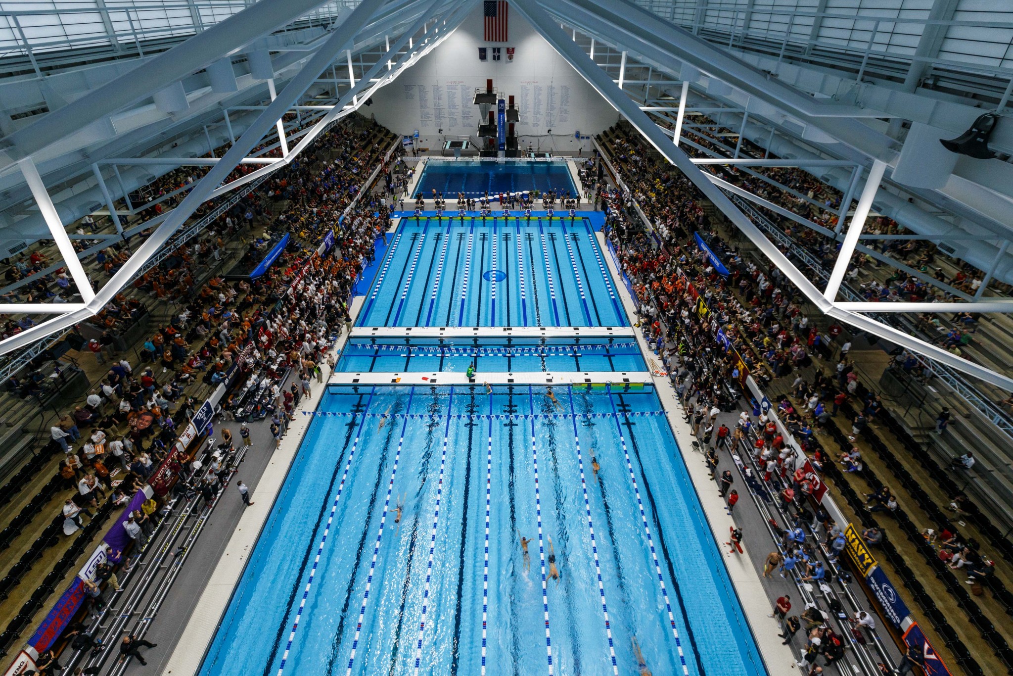 NCAA Swimming & Diving Research Project Research Sports Innovation